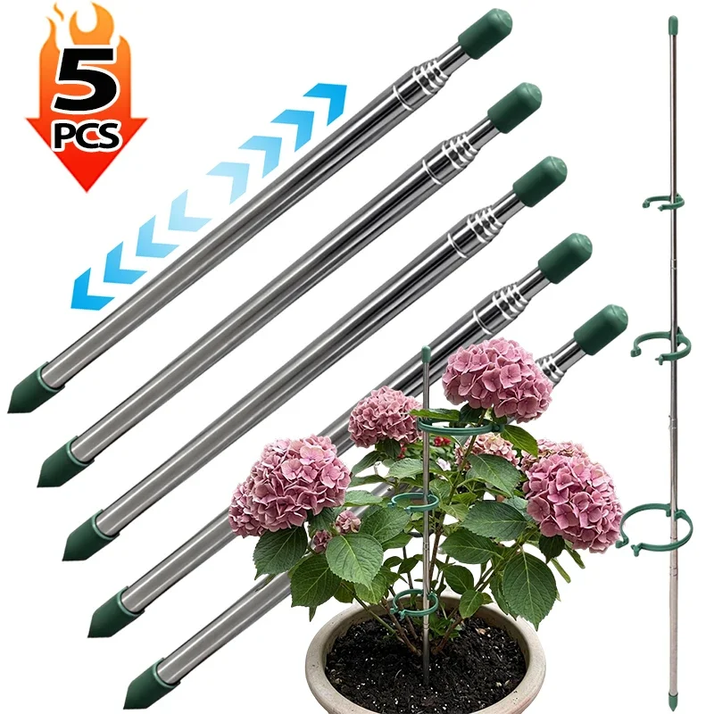 Gardening Tools Range - 5/1個入り 伸縮式植物サポートリング グリーンステークス 鉢植え用 ガーデニング用 抗倒伏