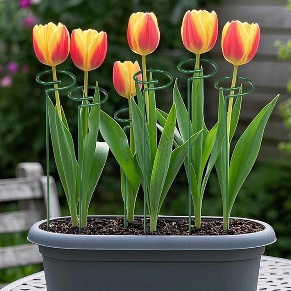金属製植物支柱、庭の花茎用クライミングステーク、防錆、落下防 - Gardening Tools Range のレビューと価格