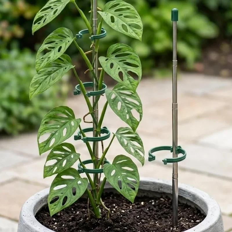 5/1個入り 伸縮式植物サポートリング グリーンステークス  - Gardening Tools Range のレビューと価格