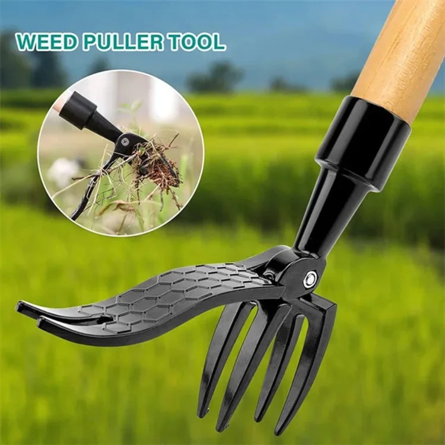 ネジ穴付きスタンドアップ除草ツール、ポータブル除草ヘッド交換 - Grass Seed Spreader のレビューと価格