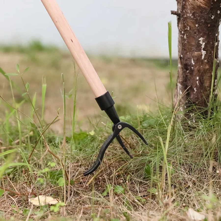 ネジ穴付きスタンドアップ除草ツール、ポータブル除草ヘッド交換 - Grass Seed Spreader のレビューと価格