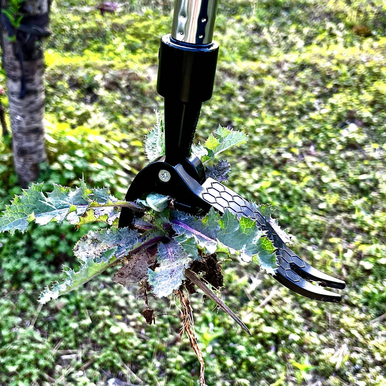 省力ハンド金属雑草抽出器スタンドアップガーデンハンドツール雑 - Gardening Tools Needed のレビューと価格