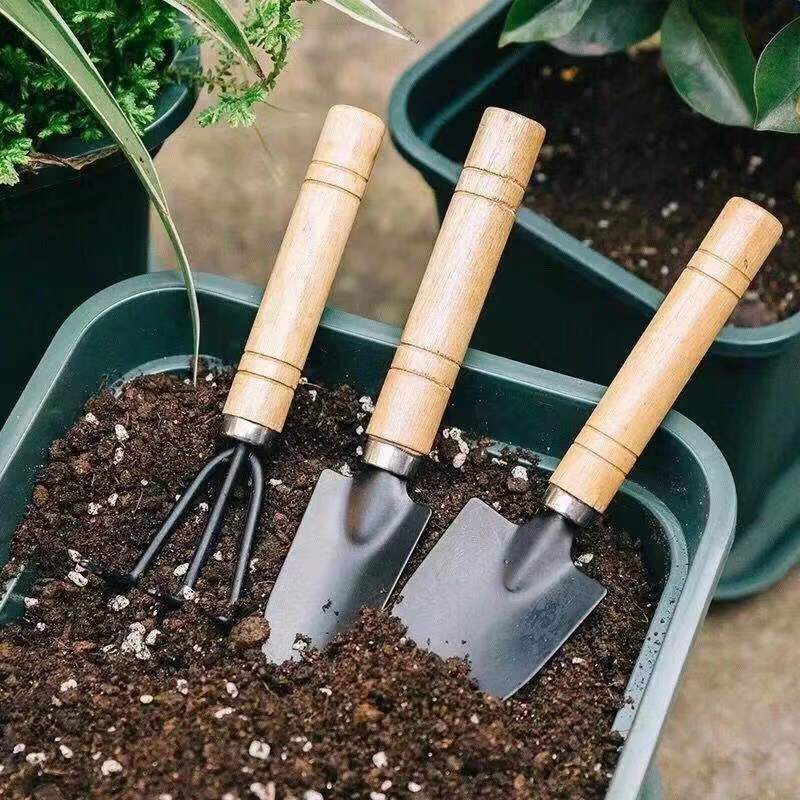 3PC/1 セットミニガーデニングツールセットポータブル小型 - Gardening Tools Spade のレビューと価格