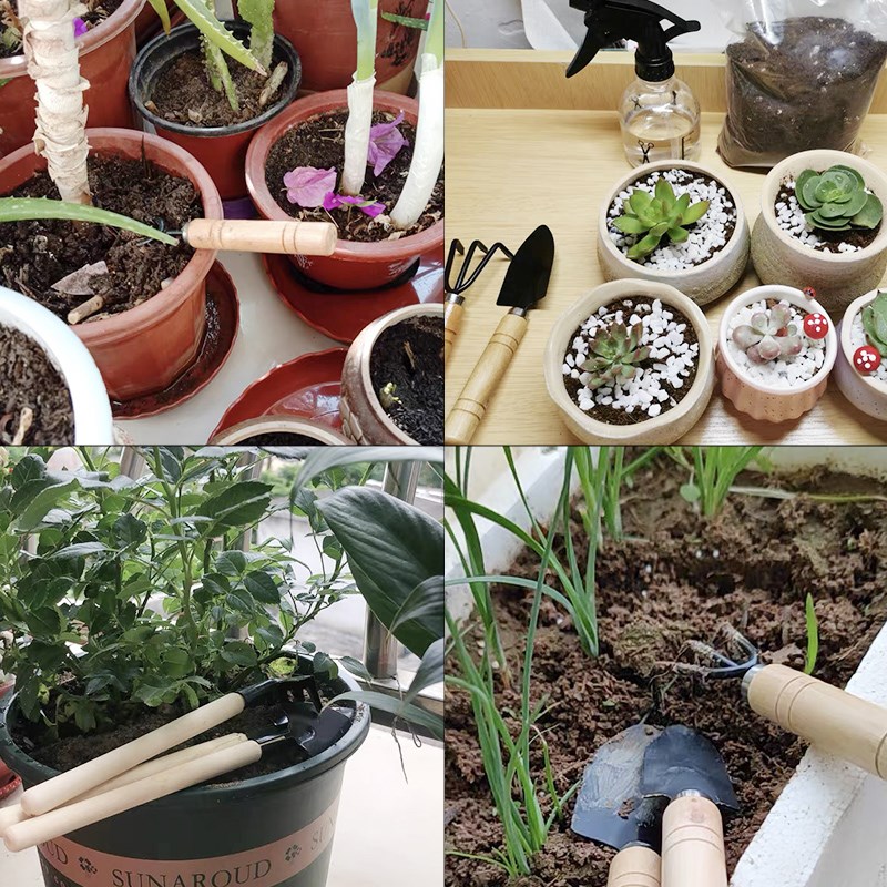 3PC/1 セットミニガーデニングツールセットポータブル小型 - Gardening Tools Spade のレビューと価格