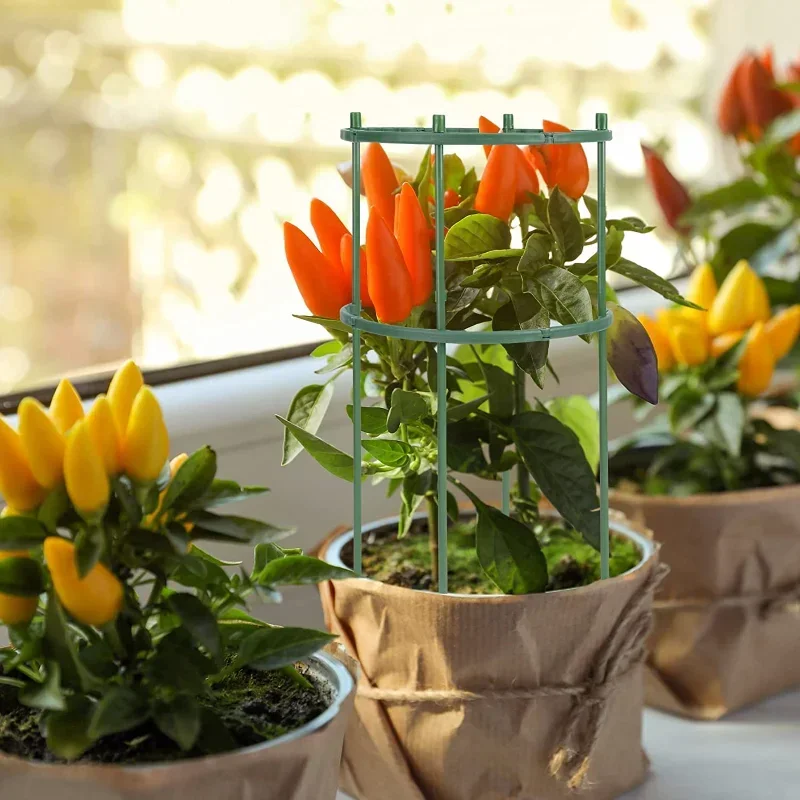 プラスチック製植物支柱スタンド 花や温室の配置用支柱 固定棒 - Gardening Tools Range のレビューと価格