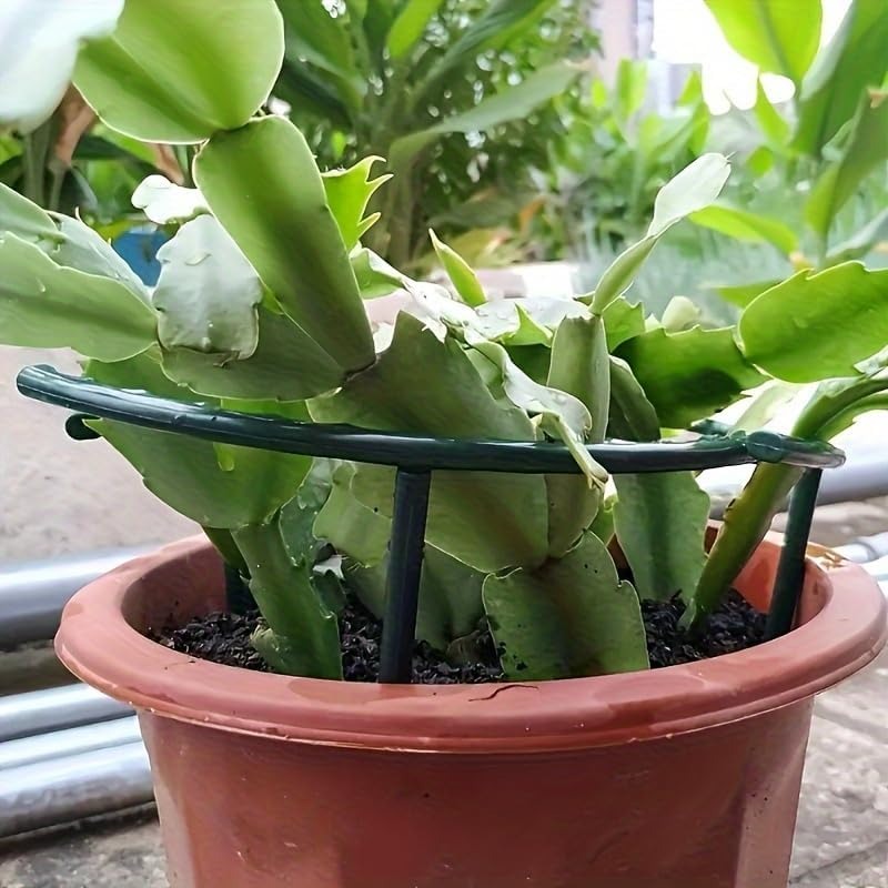 30-1 個プラスチック植物サポート半円形パイルフレーム固定 - Gardening Tools Range のレビューと価格