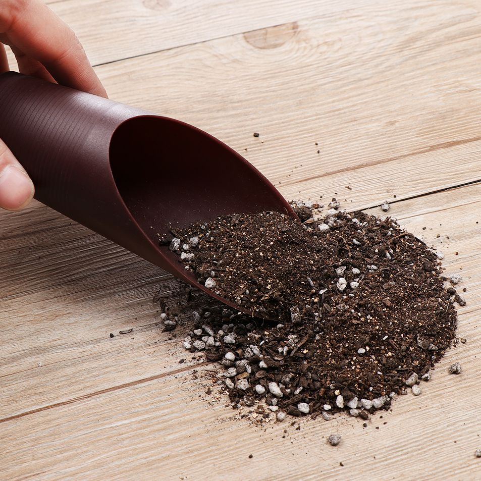 プラスチック製の庭の手入れ用の芝生の形をしたポーチ,植物が付 - Gardening Tools Spade のレビューと価格